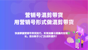 营销帐号剪辑卖货,用营销帐号方式做剪辑卖货,快速上手卖货方法,完成流量和销售量双增长-番茄副业网