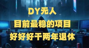 (14263期)DY没有人,现阶段比较稳定项目,引流矩阵变大边旅行边挣钱,好努力工作2年离休-番茄副业网