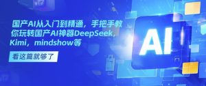 国内AI实用教程，教你如何轻松玩国内AI软件DeepSeek，Kimi，mindshow等-番茄副业网