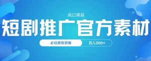 蓝海项目，短剧剧本营销推广，官方网网络资源，必过原创设计视频剪辑，日入3张-番茄副业网