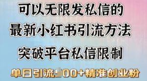 全新“摆烂式”引流方法玩法,小红书私信引流方法,单日引流方法100-番茄副业网