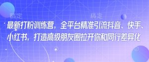 全新磨粉夏令营，全网平台精准引流方法抖音视频、快手视频、小红书的，打造出高端微信朋友圈打开你与同行业多元化-番茄副业网