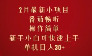 2月最新小项目，番茄畅听，操作简单，新手小白可快速上手，单机日入30+-番茄副业网