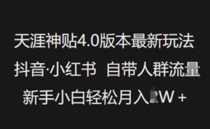 天涯神贴4.0版本号全新游戏玩法,抖音视频·小红书的内置群体总流量,新手入门轻轻松松月入了W-番茄副业网