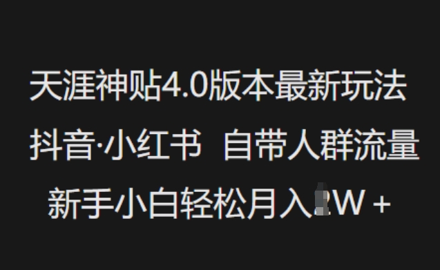 天涯神贴4.0版本号全新游戏玩法，抖音视频·小红书的内置群体总流量，新手入门轻轻松松月入了W-番茄副业网
