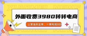 外边收费标准3980的走走电商玩法，发布当日开单，一单利润3张-番茄副业网