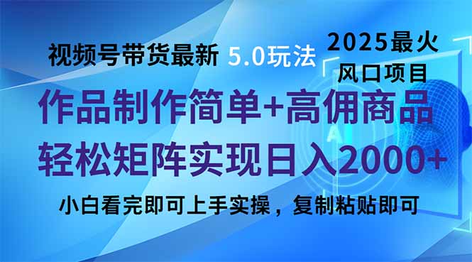 （14191期）视频号带货全新5.0游戏玩法，著作制作简单，当日养号，拷贝，轻轻松松引流矩阵…-番茄副业网