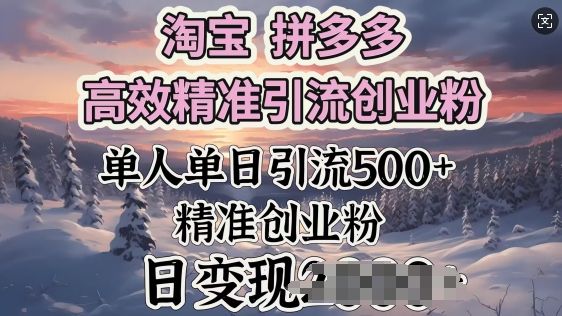 淘宝拼多多高效率精准引流方法自主创业粉，单人单日引流方法500 自主创业粉，日转现好几张-番茄副业网