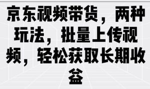 京东商城短视频带货，二种游戏玩法，批量采集短视频，轻松获取长期收益-番茄副业网