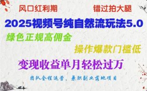 2025微信视频号纯自然流游戏玩法5.0,翠绿色靠谱高佣金,实际操作爆品成本低,转现盈利单月轻松突破万-番茄副业网