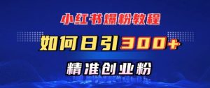 小红书的涨粉实例教程,怎样日引300 自主创业粉,迅速进行精准转现-番茄副业网