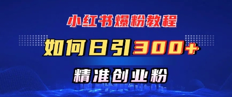小红书的涨粉实例教程，怎样日引300 自主创业粉，迅速进行精准转现-番茄副业网