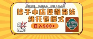 快手小店代运营公司躺着赚钱新项目 二八分为 持续稳定 最低月入3k-番茄副业网