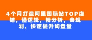 4个月打造出阿里巴巴国际TOP店面，懂逻辑性，精剖析，会整体规划，快速升级外贸询盘量-番茄副业网