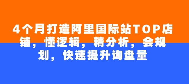4个月打造出阿里巴巴国际TOP店面，懂逻辑性，精剖析，会整体规划，快速升级外贸询盘量-番茄副业网