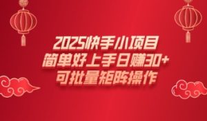 2025快手小新项目，简易好上手日入30 ，可大批量引流矩阵实际操作-番茄副业网