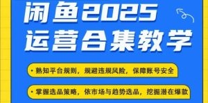 2025闲鱼电商运营全集,2025最新咸鱼玩法-番茄副业网
