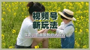 运用车祸事故意外视频，撸视频号分为盈利，轻轻松松月入了W，使用方便，适宜宝妈妈，工薪族-番茄副业网