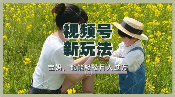 运用车祸事故意外视频，撸视频号分为盈利，轻轻松松月入了W，使用方便，适宜宝妈妈，工薪族-番茄副业网