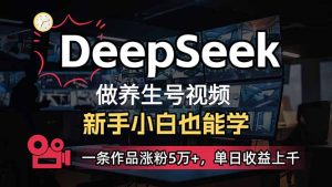 （14270期）新手用DeepSeek做健康养生号，一条著作增粉5万 ，单日盈利过千-番茄副业网