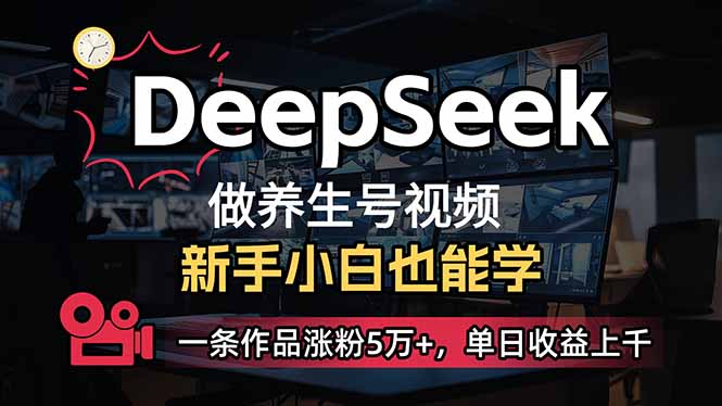 （14270期）新手用DeepSeek做健康养生号，一条著作增粉5万 ，单日盈利过千-番茄副业网