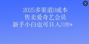 2025多种渠道0成本费出售爱奇艺vip，新手入门也可以日入好几张-番茄副业网