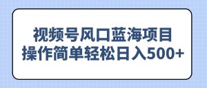 （14276期）视频号风口蓝海项目，操作简单轻松日入500+-番茄副业网