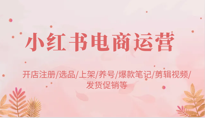 小红书电商经营：开实体店申请注册/选款/发布/起号/爆品手记/视频编辑/安排发货促销等-番茄副业网