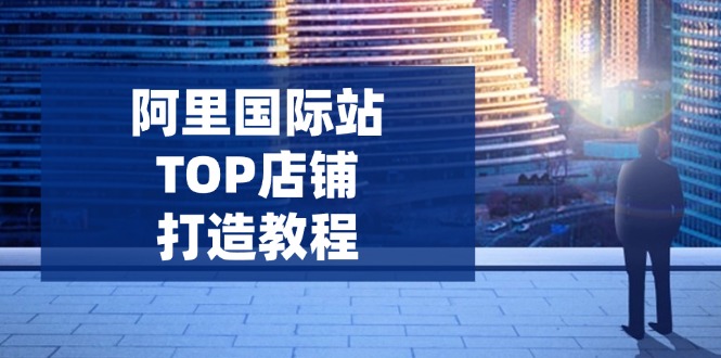 （14269期）阿里巴巴国际TOP店面打造出实例教程：包含服务平台到高级，处理经营困难，提高外贸询盘-番茄副业网