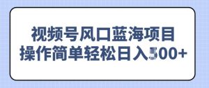 视频号风口蓝海项目，中老年人的流量密码，操作简单轻松日入多张-番茄副业网