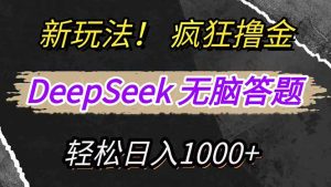 （14428期）新模式！运用DeepSeek，拷贝，没脑子简易解题，玩命撸新渠道盈利，轻...-番茄副业网