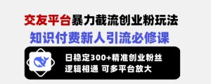 交友网站暴力行为截留自主创业粉游戏玩法，社交电商新手引流方法必修课程，日平稳300 精确自主创业粉丝们，逻辑性互通可全平台变大-番茄副业网