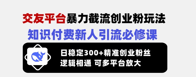 交友网站暴力行为截留自主创业粉游戏玩法，社交电商新手引流方法必修课程，日平稳300 精确自主创业粉丝们，逻辑性互通可全平台变大-番茄副业网