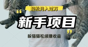 运用外国人捉迷藏比赛短视频，挣分为盈利，使用方便，新手入门，轻轻松松月入了W-番茄副业网