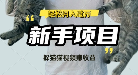 运用外国人捉迷藏比赛短视频，挣分为盈利，使用方便，新手入门，轻轻松松月入了W-番茄副业网
