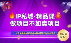 （14406期）2025年“IP公域·密训班精品课程”，日赚3000 新手防坑月入十万，暴力行为引流方法...-番茄副业网