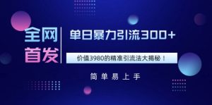 独家首发，使用价值3980单日暴力行为引流方法300 的精准引流方法法大曝光-番茄副业网