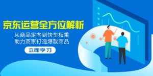 （14477期）2025京东运营全方位解析：从商品定向到快车权重，助力商家打造爆款商品-番茄副业网