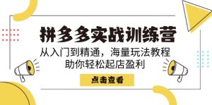 （14392期）拼多多实战训练营，从入门到精通，海量玩法教程，助你轻松起店盈利-番茄副业网