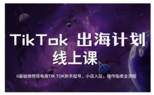 TikTok跨境电子商务初学者养号和运营攻略大全,0基本做跨境电商TIKTOK初学者养号,小商店进驻,操作说明全过程-番茄副业网