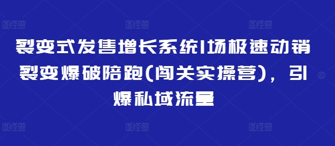 裂变开售提高系统软件1场急速促销裂变式工程爆破陪跑(冲关实际操作营)，点爆私域流量池-番茄副业网