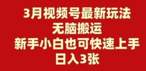 3月微信视频号全新游戏玩法，没脑子运送，新手入门也可以快速入门，日入3张-番茄副业网