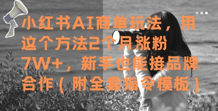 小红书的AI商单游戏玩法，用这种方法2个月增粉7W ，初学者也能接品牌合作(附整套命令模版)-番茄副业网