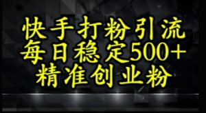 快手视频精确式磨粉引流方法,每日平稳500 精确自主创业粉-番茄副业网