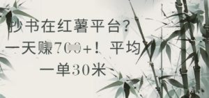 抄写在小红书服务平台？平均一单30米，一天盈利多张！-番茄副业网