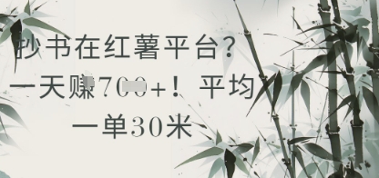 抄写在小红书服务平台？平均一单30米，一天盈利多张！-番茄副业网
