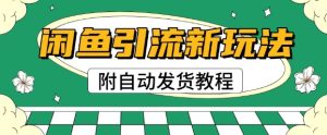 2025闲鱼引流新模式,日引200 自主创业粉,每日平稳好几张盈利(附自动发卡密实例教程)-番茄副业网