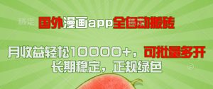 (14822期)海外漫画作品app自动式搬砖项目,月盈利轻轻松松10000 ,可大批量游戏多开!!!-番茄副业网