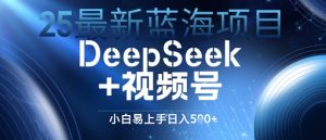 25全新蓝海项目DeepSeek 微信视频号，新手上手快日入多张-番茄副业网