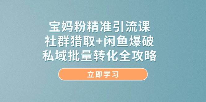 宝妈粉精准引流方法课，社群营销捕获 闲鱼平台工程爆破，公域大批量转换攻略大全-番茄副业网
